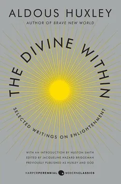 Book cover for The Divine Within